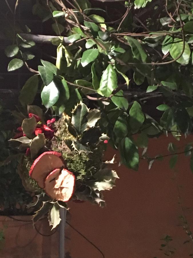 Viadelloca35 Appartement Rome